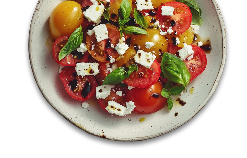 restaurant italien castelnau le lez - restaurant CASTELNAU-LE-LEZ - restaurant centre castelnau le lez - Restaurant Castelnau le lez